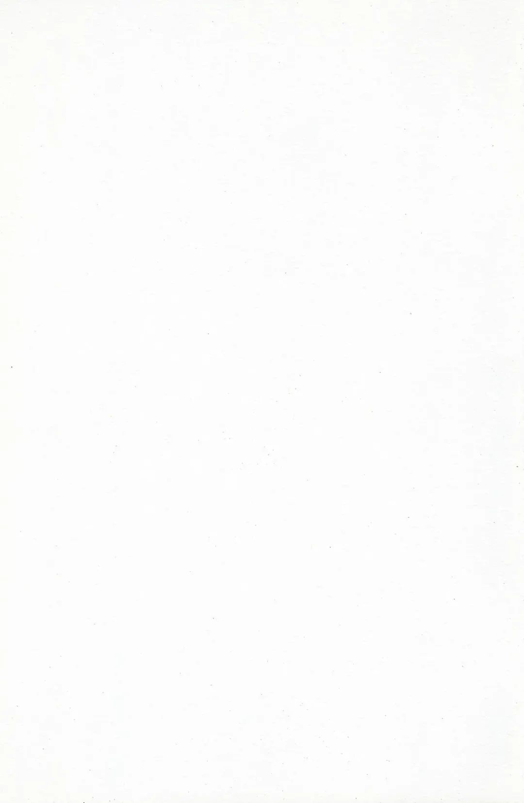 [Okina] ANALRINA Fhentai - Page 2