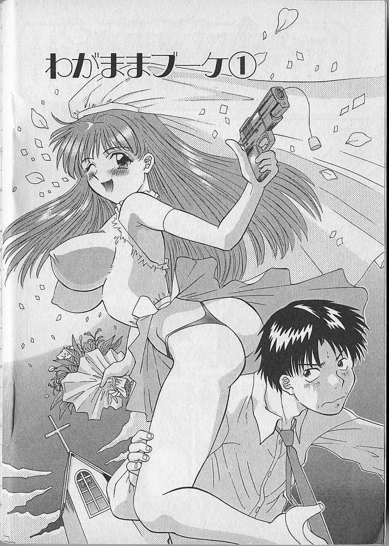 [Kawamori Misaki] Wagamama Bouquet Fhentai - Page 6