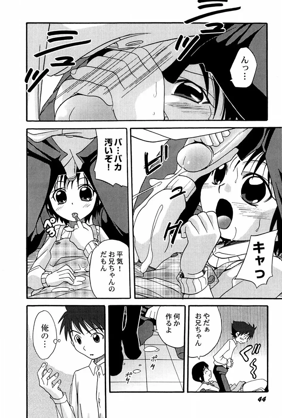 [Shamon] Yokusou no Kajitsu Fhentai - Page 46