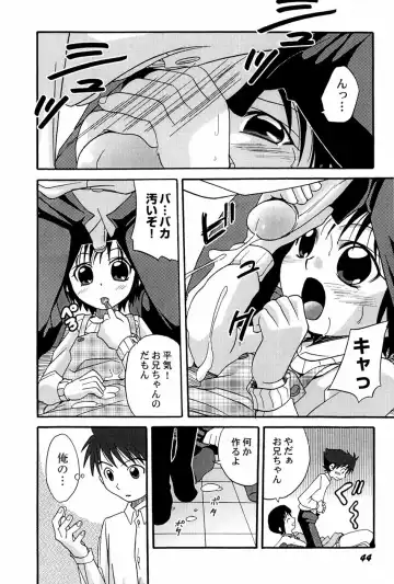 [Shamon] Yokusou no Kajitsu Fhentai - Page 46