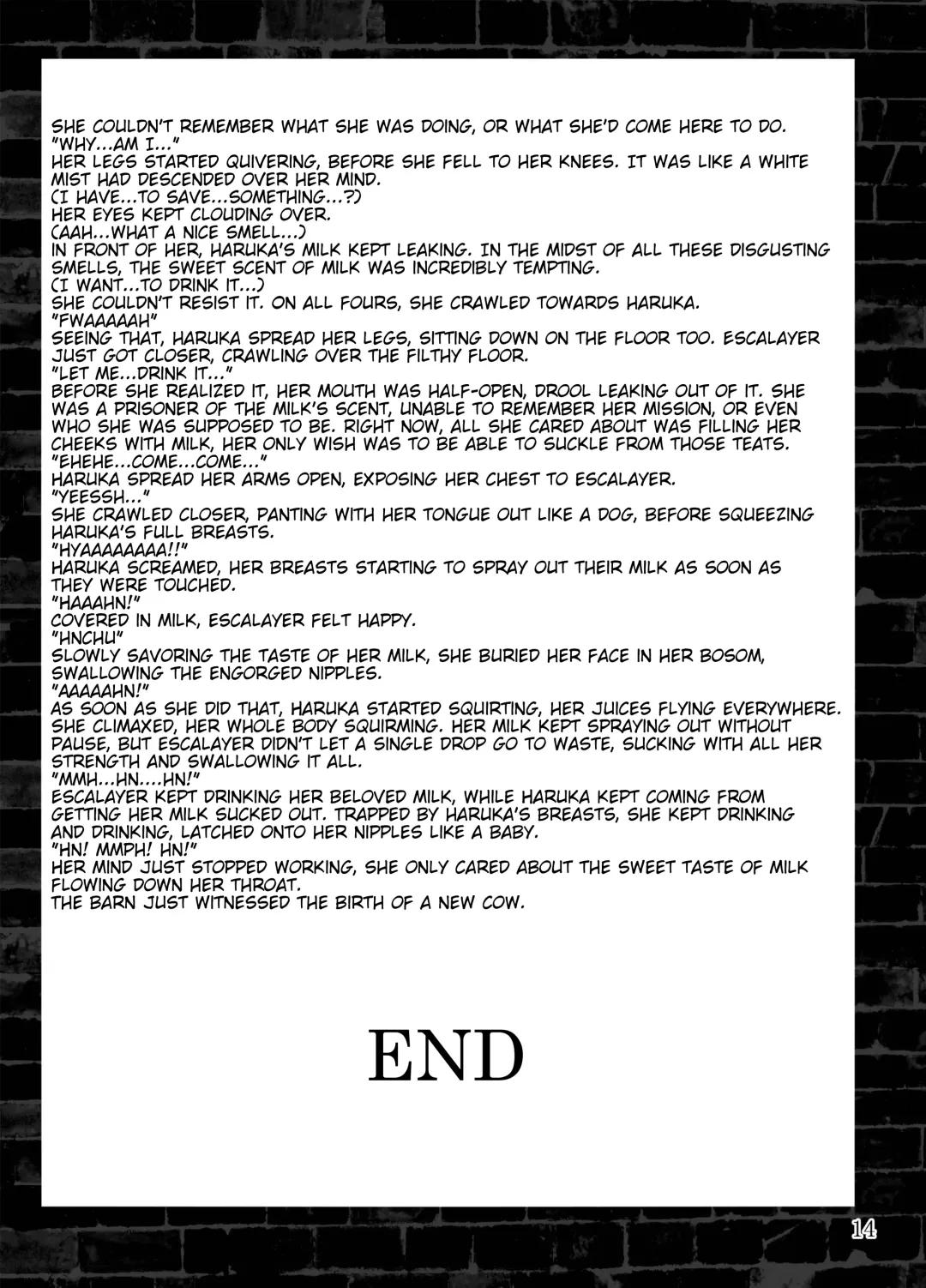 [Konshin - Sch-mit] Choukou Daraku Fhentai - Page 14