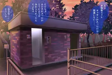 [Izumi - Reizei] Anoko ga Arukeba Bou ni Ataru Fhentai - Page 30