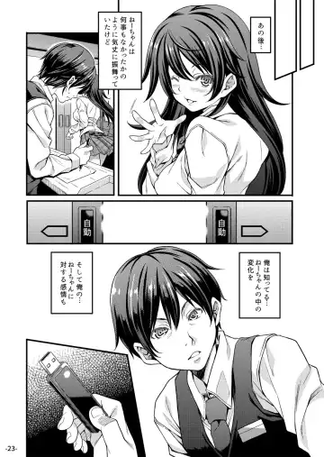 [Mizuhara Yuu] Migawari Otome Fhentai - Page 23