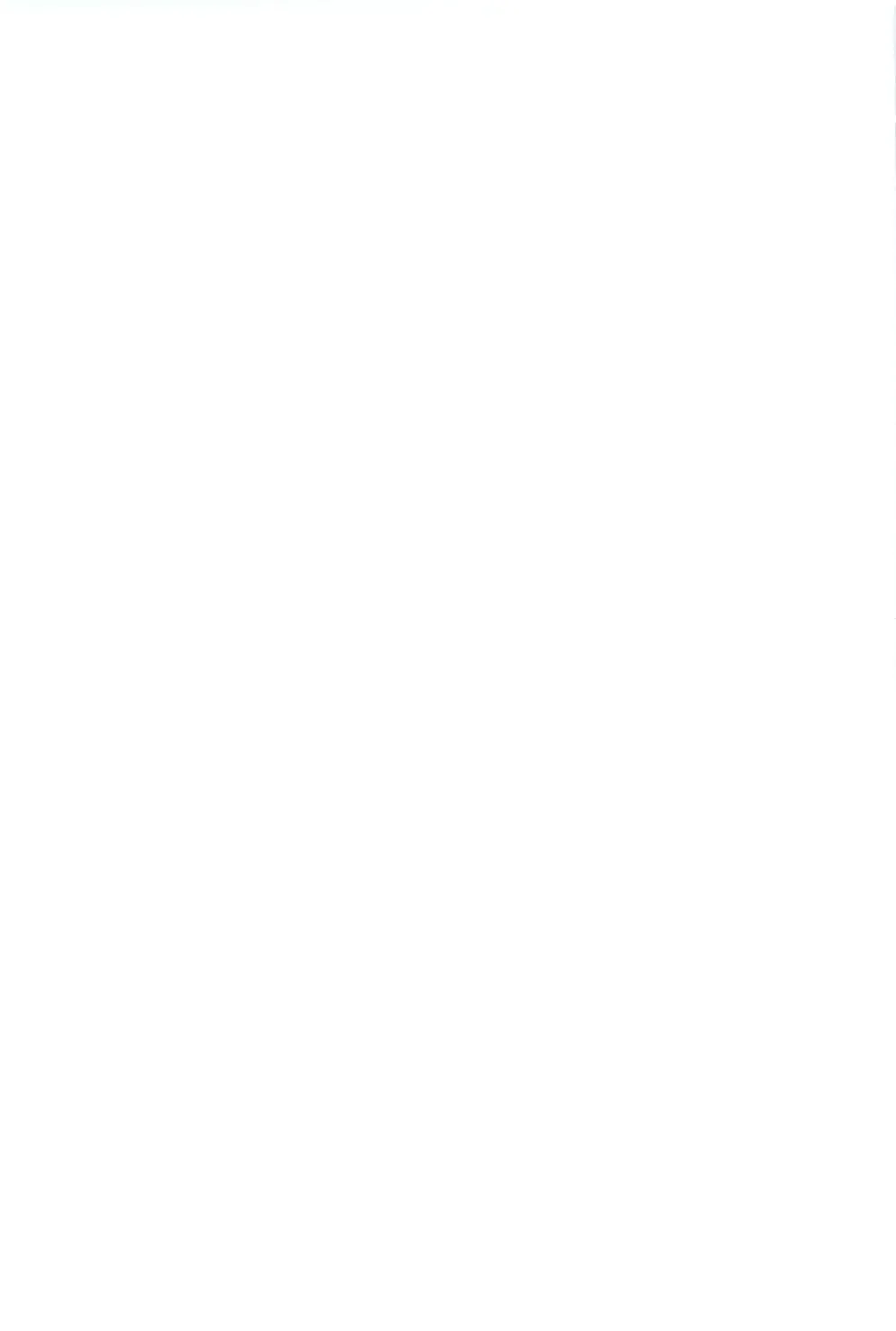 [Ripton] Ochinchin Daishingeki - Remilia no Gyakushuu Fhentai - Page 25