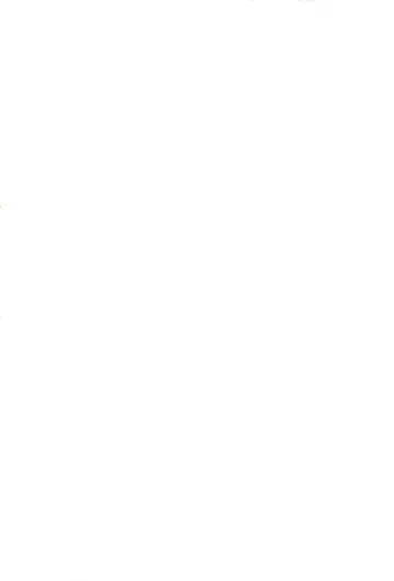 [Ripton] Ochinchin Daishingeki - Remilia no Gyakushuu Fhentai - Page 2