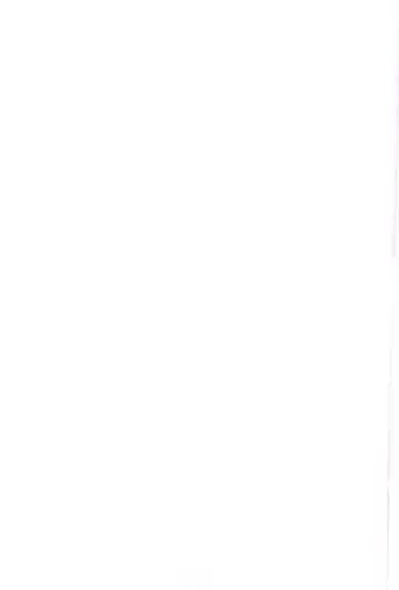 [Ripton] Ochinchin Daishingeki - Remilia no Gyakushuu Fhentai - Page 4