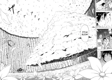 [Akatsuki Myuuto] Natsumitsu x Harem! + Bonuses Fhentai - Page 201