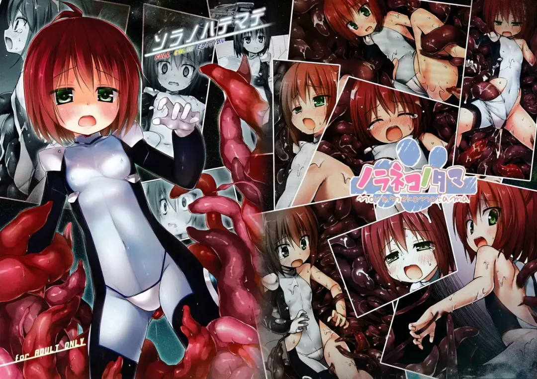 [Yukino Minato] Sora no Hate Made FULL COLOR EDITION | To the End of the Sky Fhentai - Page 2