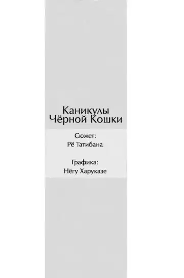 [Harukaze Soyogu] Kuroneko-tachi no Kyuujitsu ~A Peaceful Day~ | Каникулы Чёрной Кошки ~Один прекрасный день~ Fhentai - Page 3