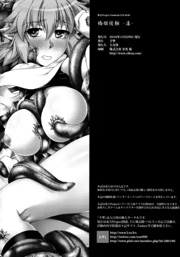 [Ootsuki Wataru] [Kougeki (Ootsuki Wataru) Hashihime Shinshoku -Shichi- Fhentai - Page 25