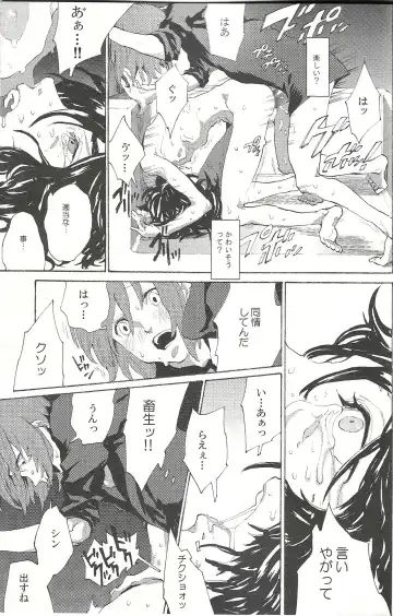 [Natsusaka] Regen Fhentai - Page 14