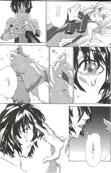 [Natsusaka] Regen Fhentai - Page 20