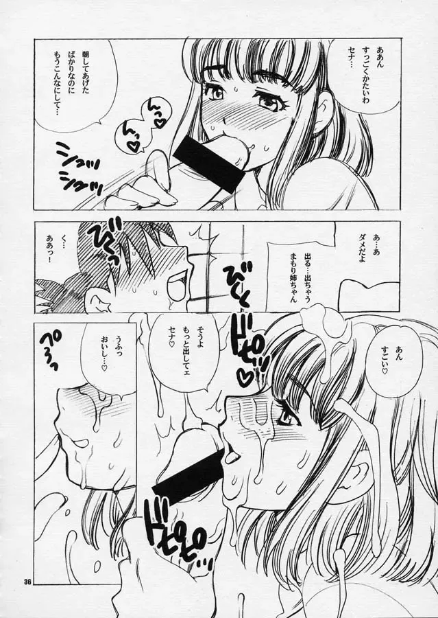 [Yukiyanagi] Yukiyanagi no Hon 10 Valkyrie no Hisoka na Tanoshimi Fhentai - Page 35