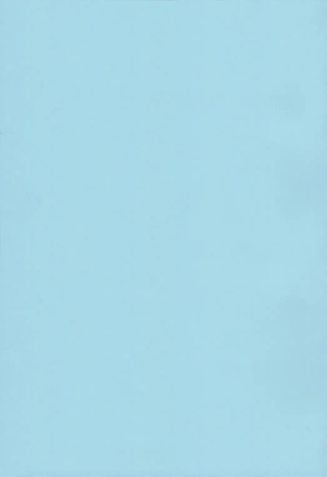 [Nei Chi] Minami no Shima no Daishiren ~BW Sedai mo Hamehameha~ Fhentai - Page 2