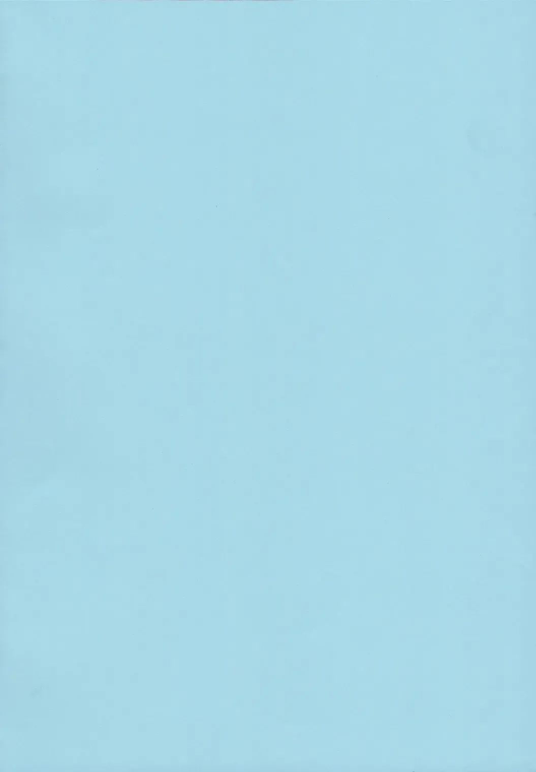 [Nei Chi] Minami no Shima no Daishiren ~BW Sedai mo Hamehameha~ Fhentai - Page 3