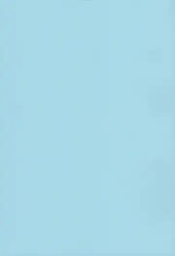 [Nei Chi] Minami no Shima no Daishiren ~BW Sedai mo Hamehameha~ Fhentai - Page 2