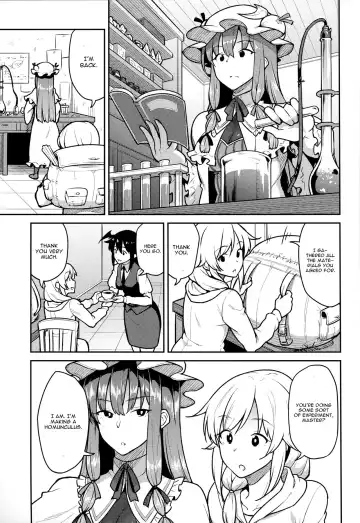 [Hiroya] Patchouli-sama to Fhentai - Page 2