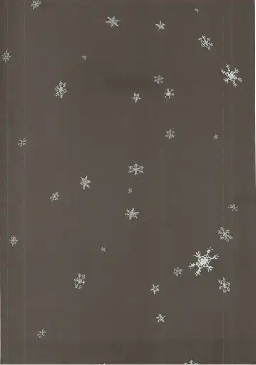 [Urabi] Konya wa Watashi ga Anata no Santa-san Fhentai - Page 3