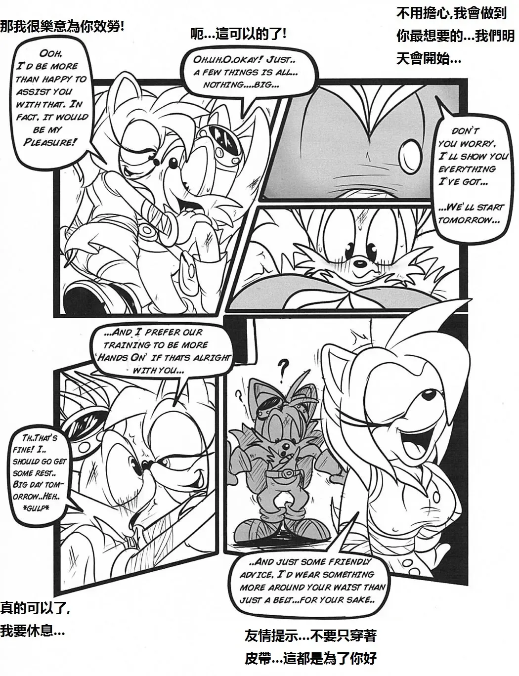 [Greenhill] Below The Belt (Sonic The Hedgehog) - Chinese Fhentai - Page 4