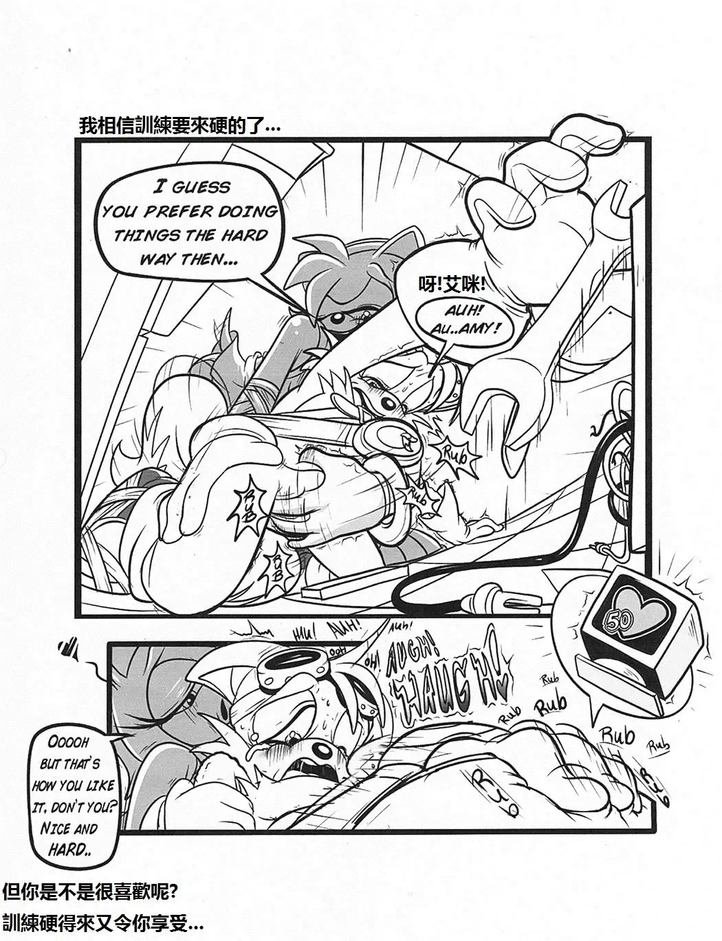 [Greenhill] Below The Belt (Sonic The Hedgehog) - Chinese Fhentai - Page 7