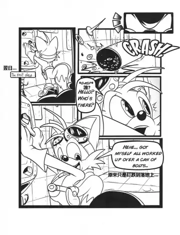 [Greenhill] Below The Belt (Sonic The Hedgehog) - Chinese Fhentai - Page 5