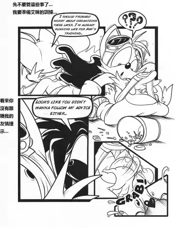 [Greenhill] Below The Belt (Sonic The Hedgehog) - Chinese Fhentai - Page 6
