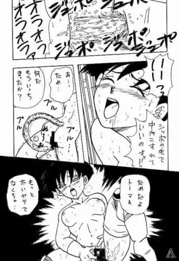 [Shouji Haruko - Shouji Haruzo] Go! Go! Videl! Fhentai - Page 22