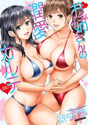 Read [Azuma Taira] Onee-san no Junai Karte - Fhentai