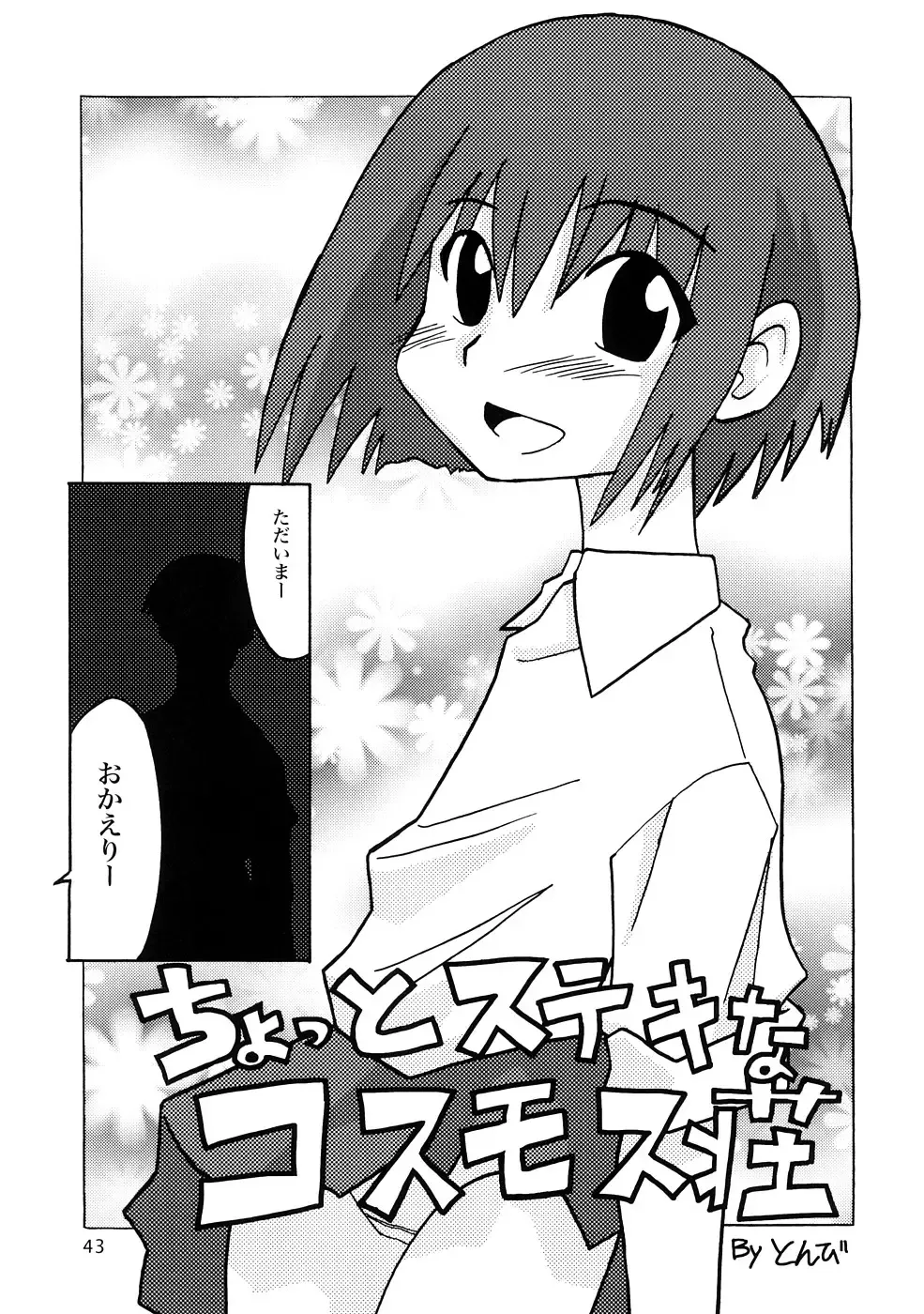 [Elf.k - Lei - Tonbi] Seitoushi Cosmos-sou Fhentai - Page 42