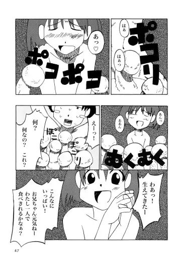 [Elf.k - Lei - Tonbi] Seitoushi Cosmos-sou Fhentai - Page 46