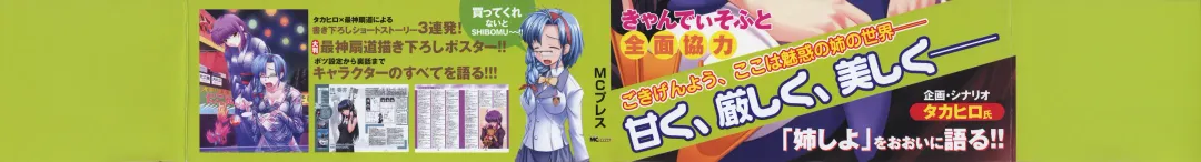 [Shironeko Sanbou] Nee, Chan to Shiyou yo! Official Fanbook - Ai to Batou no Hibi Fhentai - Page 2