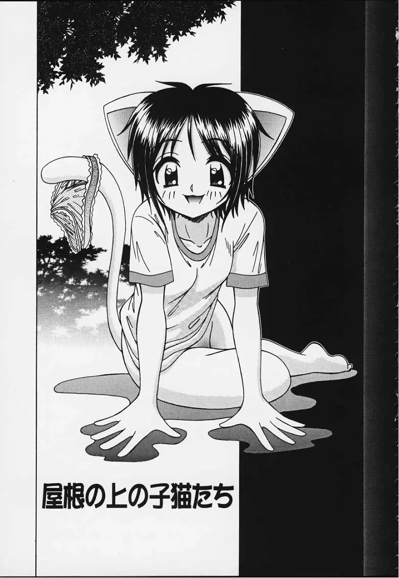 [R-koga] Tsuru Tsuru Mumou Chitai Fhentai - Page 116