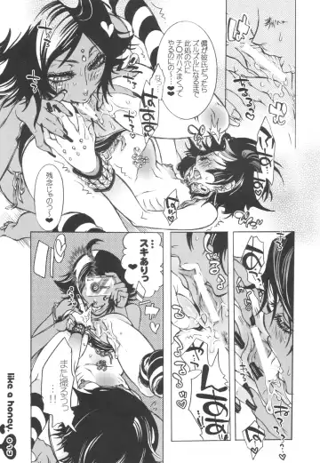 [Hattori Mitsuka] Like a Honey Fhentai - Page 16