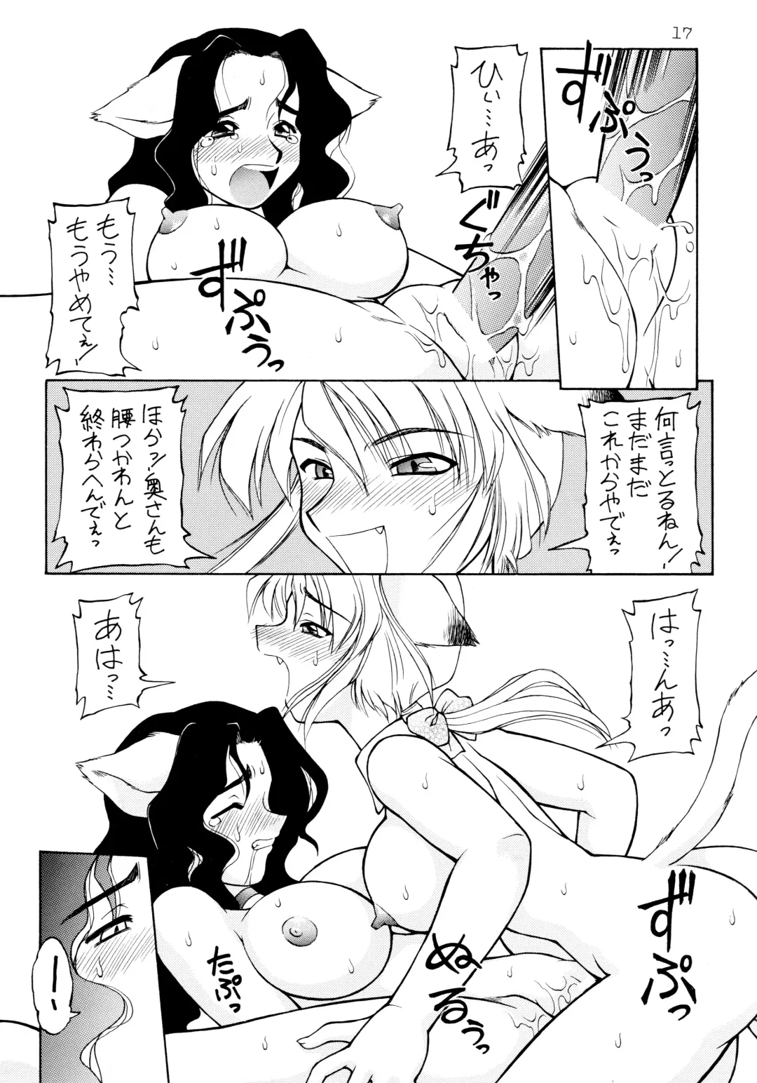 [Ebifly - Neriwasabi] Uwasa no Neko Shuukai Fhentai - Page 17