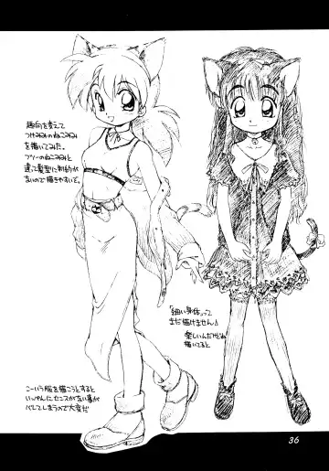 [Ebifly - Neriwasabi] Uwasa no Neko Shuukai Fhentai - Page 36