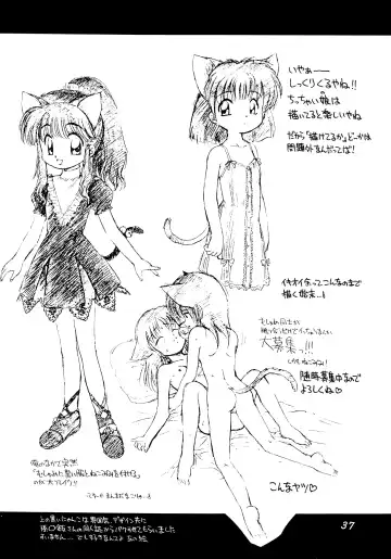[Ebifly - Neriwasabi] Uwasa no Neko Shuukai Fhentai - Page 37