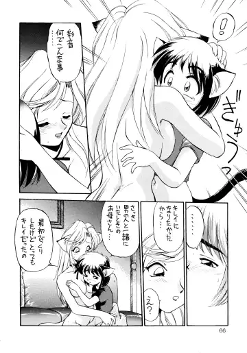 [Ebifly - Neriwasabi] Uwasa no Neko Shuukai Fhentai - Page 66