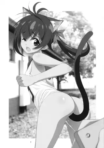 [Mizuki Eimu] Himitsu no Asobi Fhentai - Page 3