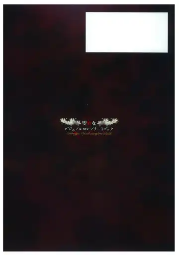 [Kinmedai Pink - Koizumi Amane] Seishojyo Visual Complete Book Fhentai - Page 148