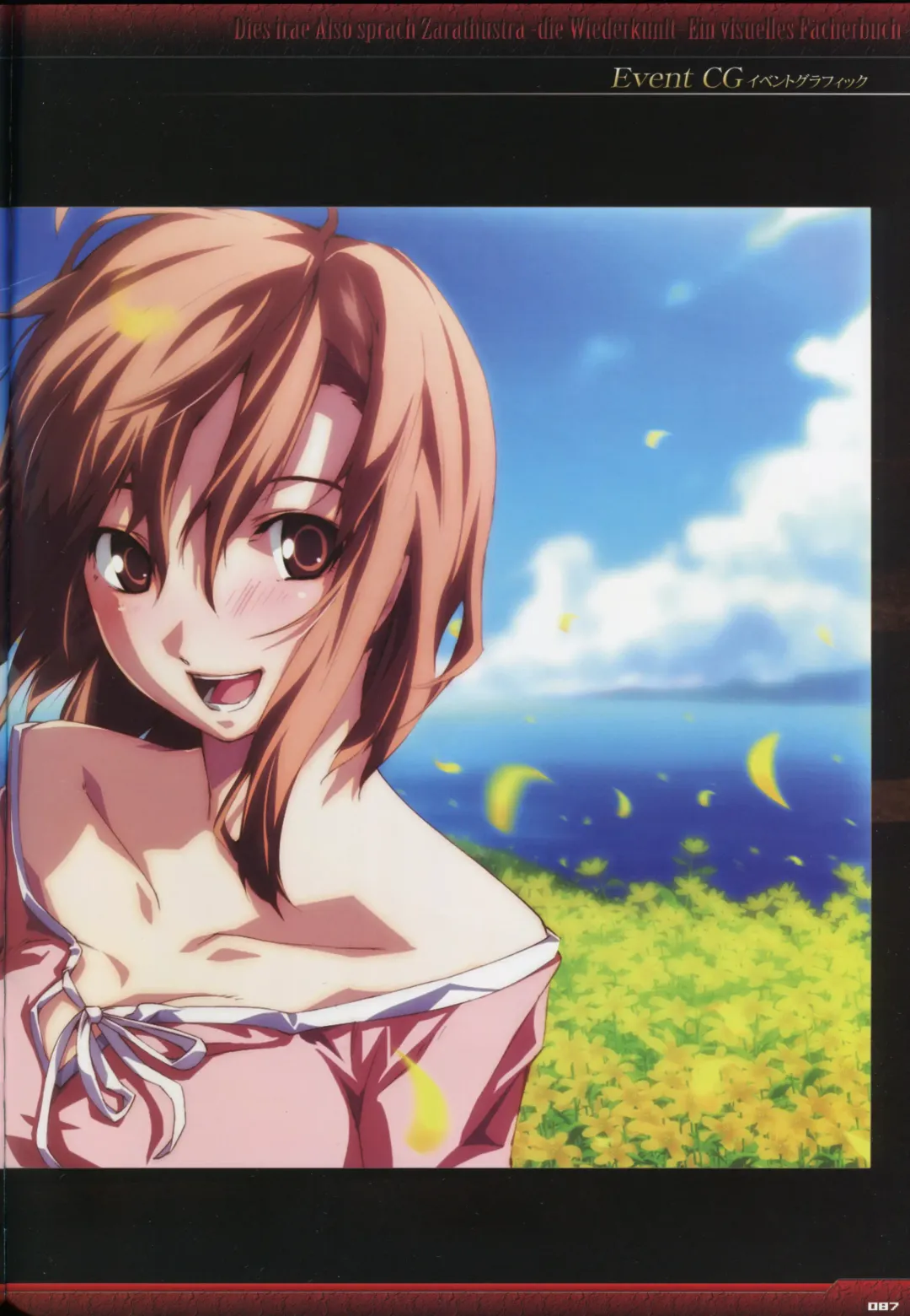 [Gyuusuke] Dies irae Visual Fanbook - Black Book Fhentai - Page 89