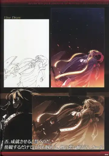 [Gyuusuke] Dies irae Visual Fanbook - Black Book Fhentai - Page 33