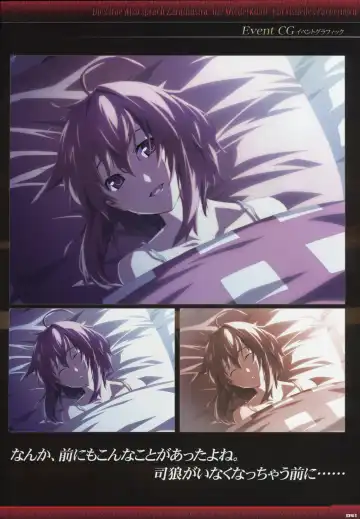 [Gyuusuke] Dies irae Visual Fanbook - Black Book Fhentai - Page 43