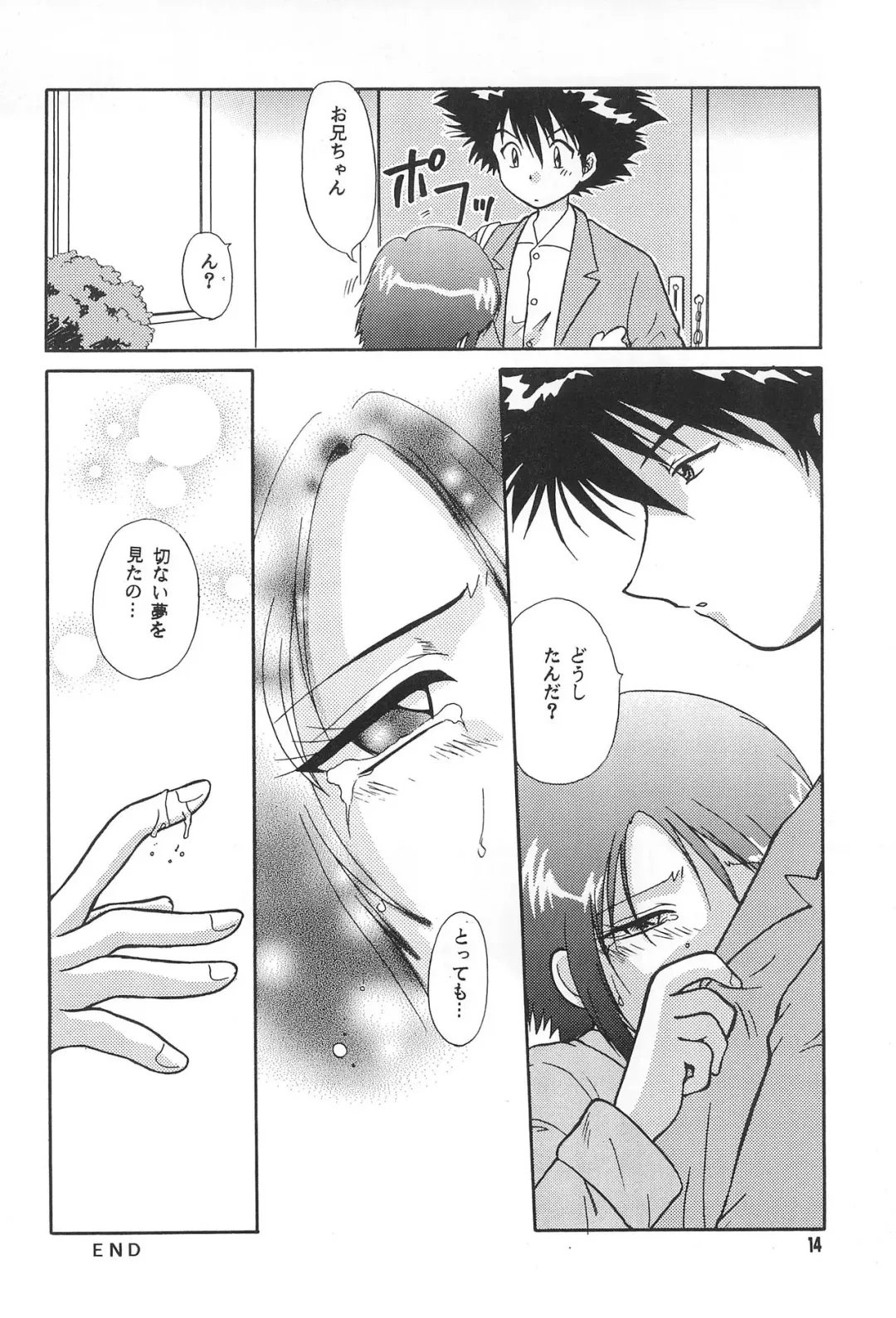 [Hitsujiko] Digital Syndrome Fhentai - Page 16