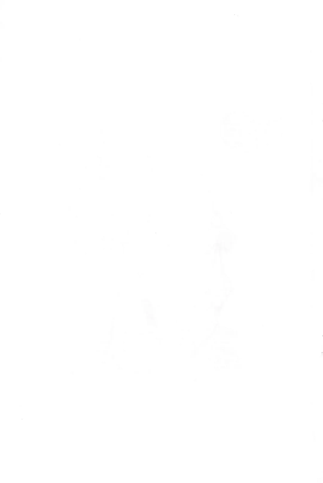 [Serizawa Yuuji] Ogadindin Fhentai - Page 11