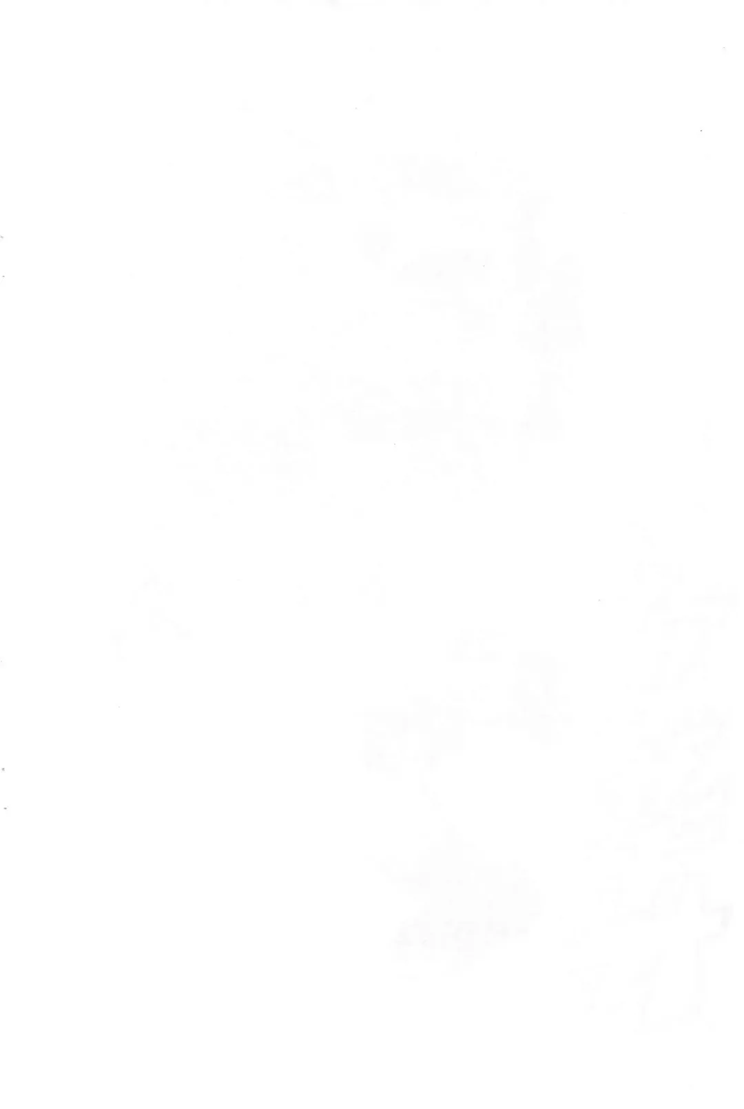 [Serizawa Yuuji] Ogadindin Fhentai - Page 2