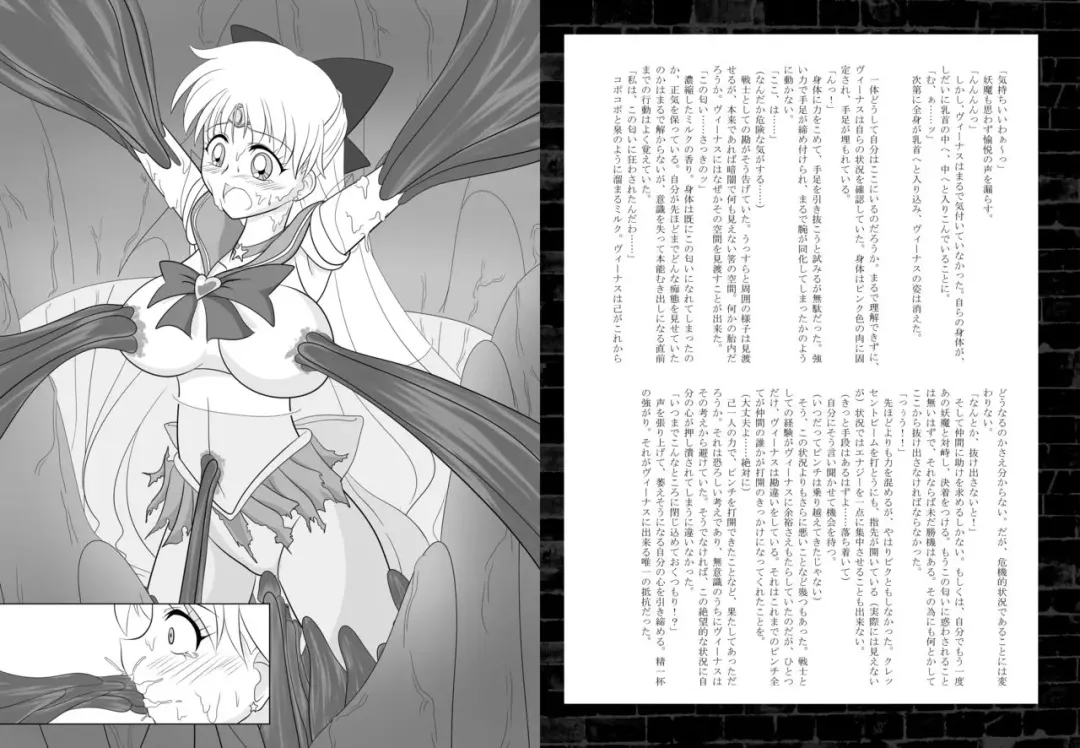 Corruption in Venus Fhentai - Page 17