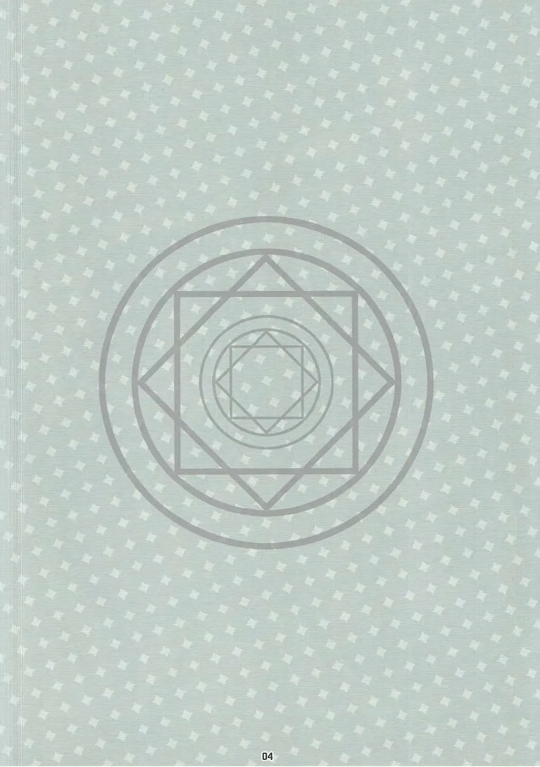 [Shindou] Magi Mori Fhentai - Page 3