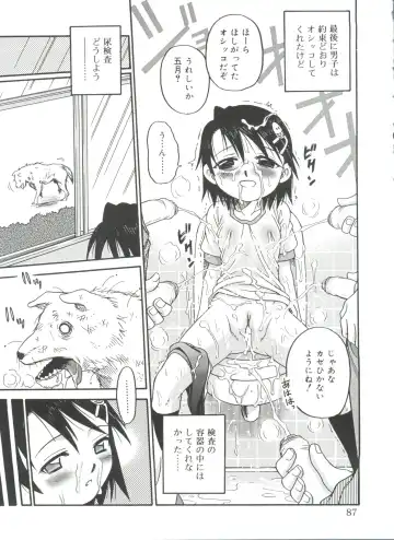 [Kyouichirou] Hina Bambi Fhentai - Page 87