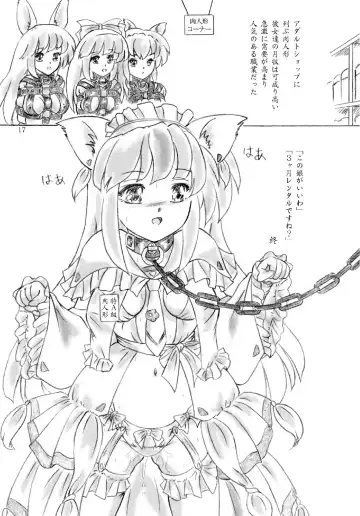 [Sumomo Ex] Nikuningyou toiu Shokugyou Fhentai - Page 17