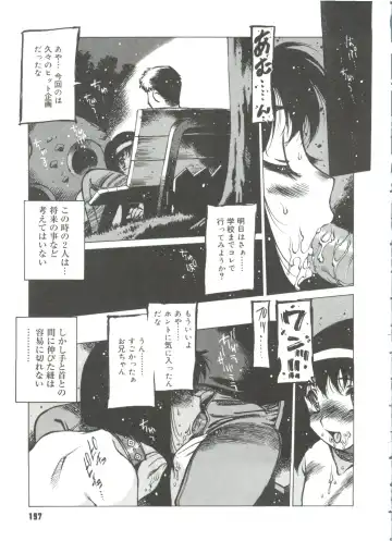 [Nishi Iori] Omocha Hime Fhentai - Page 199